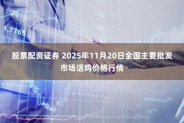 股票配资证券 2025年11月20日全国主要批发市场活鸡价格行情