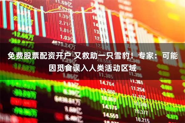 免费股票配资开户 又救助一只雪豹！专家：可能因觅食误入人类活动区域
