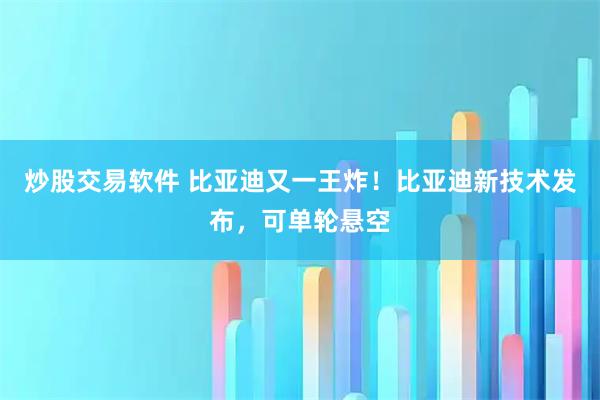 炒股交易软件 比亚迪又一王炸！比亚迪新技术发布，可单轮悬空